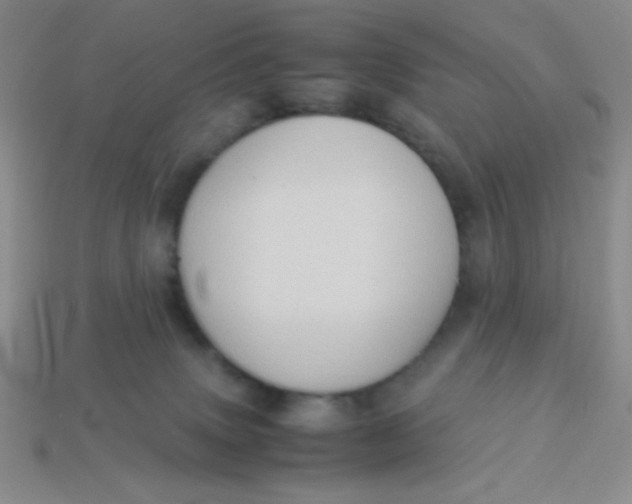 X0000113590083200910091508