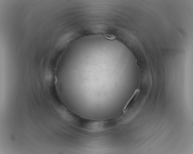 X0000113590084200910091508