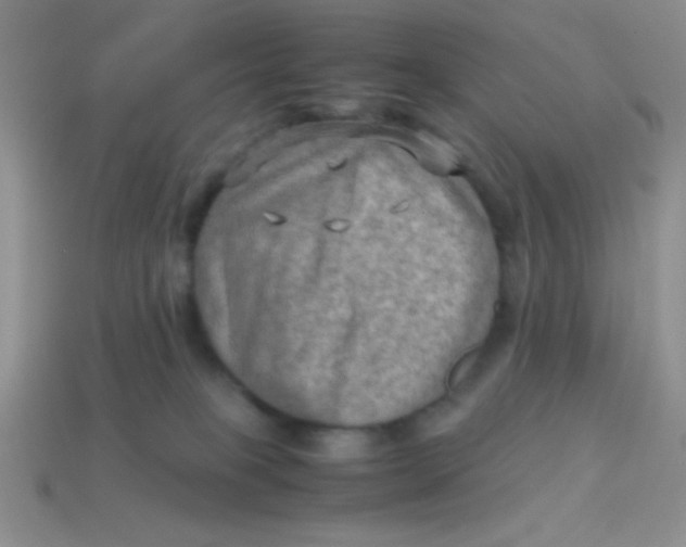 X0000113590085200910091508