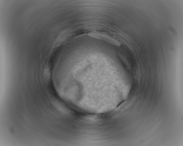 X0000113590086200910091508