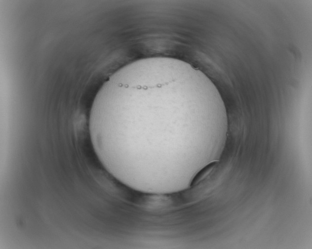 X0000113590087200910091508