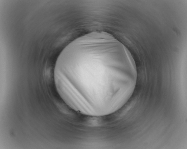 X0000113590088200910091508