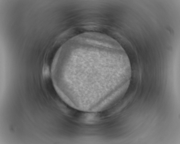 X0000113590089200910091508