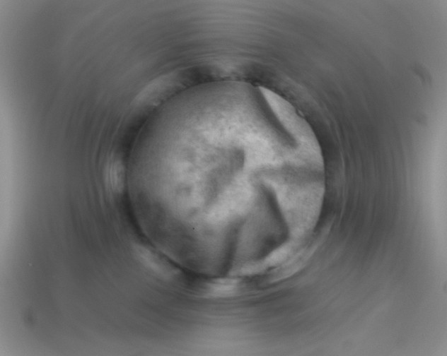 X0000113590090200910091508