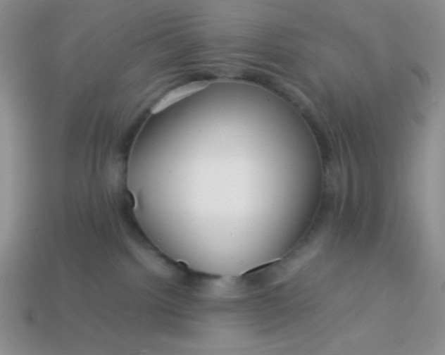 X0000113590092200910091508