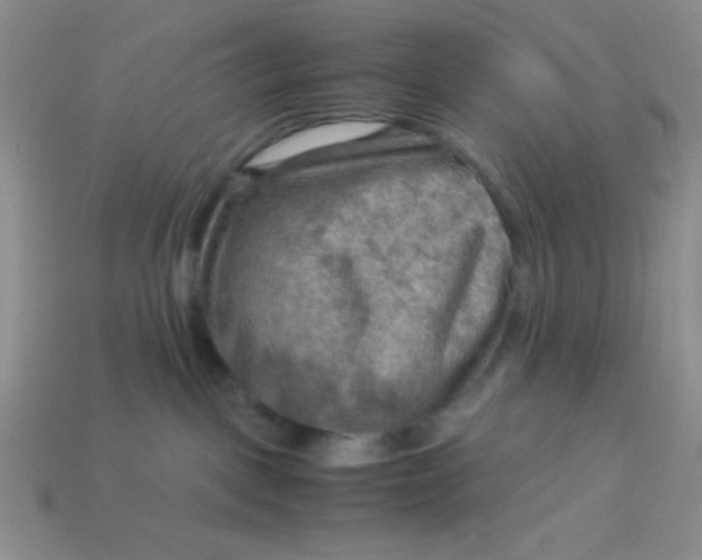 X0000113590093200910091508