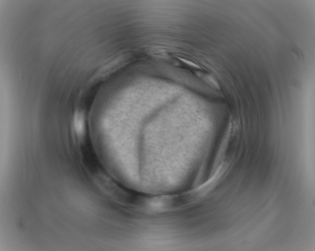 X0000113590094200910091508
