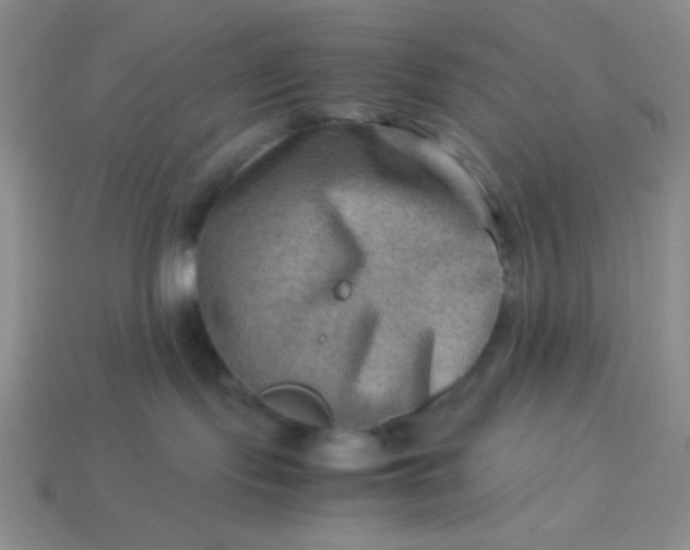 X0000113590095200910091508