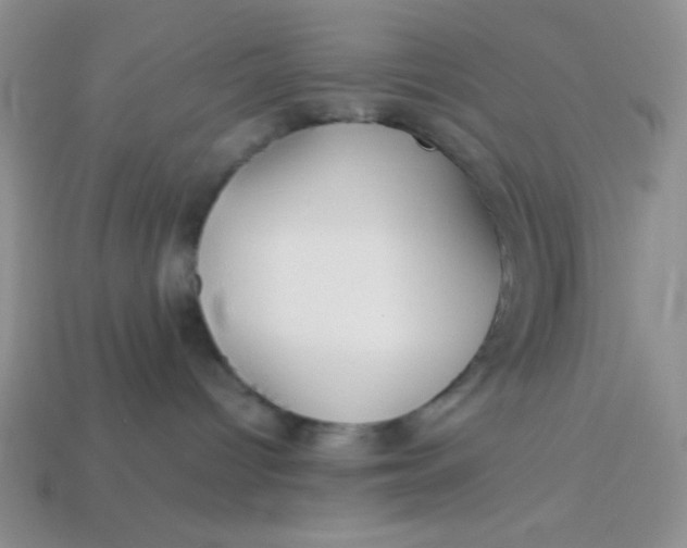 X0000113590096200910091508