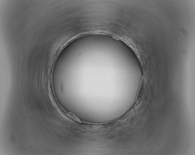 X0000113590097200910091508