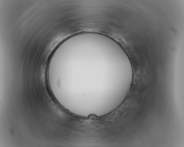 X0000113590098200910091508