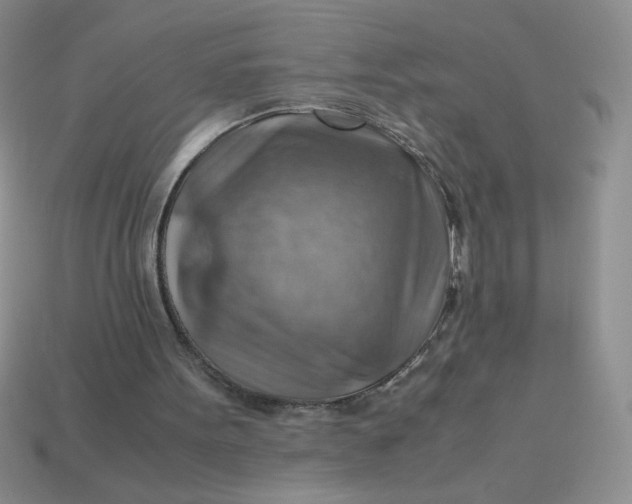 X0000113590099200910091508