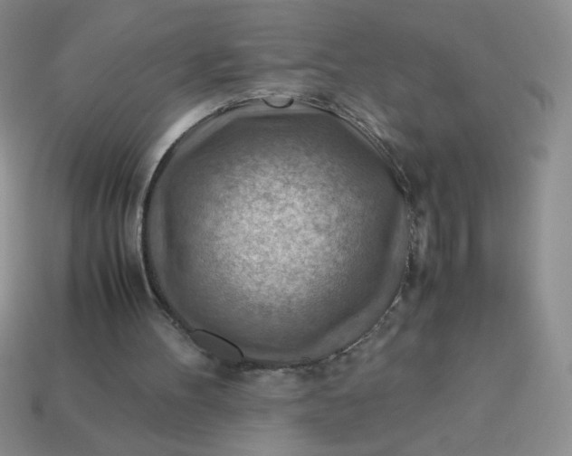 X0000113590100200910091508