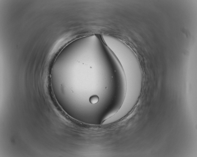 X0000113590101200910091508