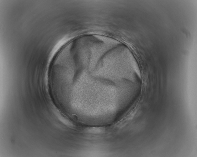 X0000113590102200910091508
