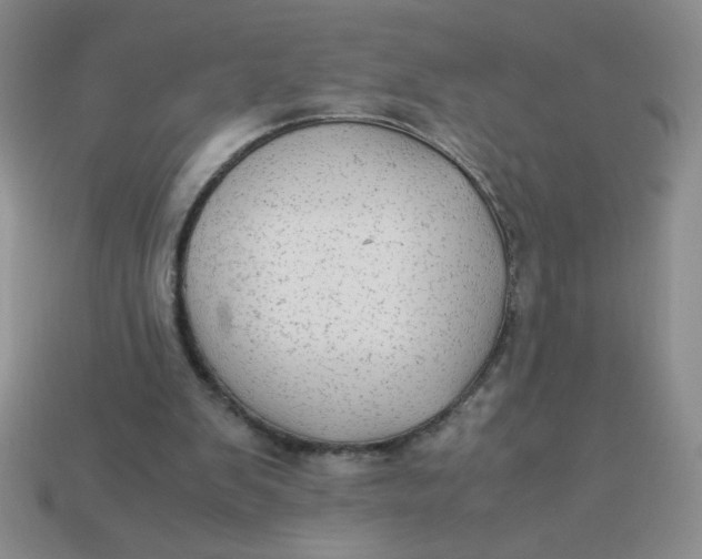 X0000113590103200910091508