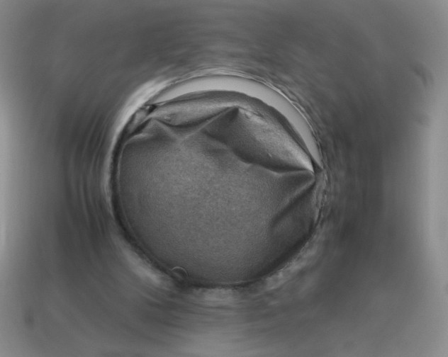 X0000113590104200910091508