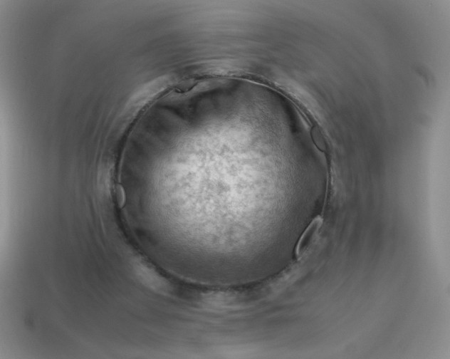 X0000113590105200910091508
