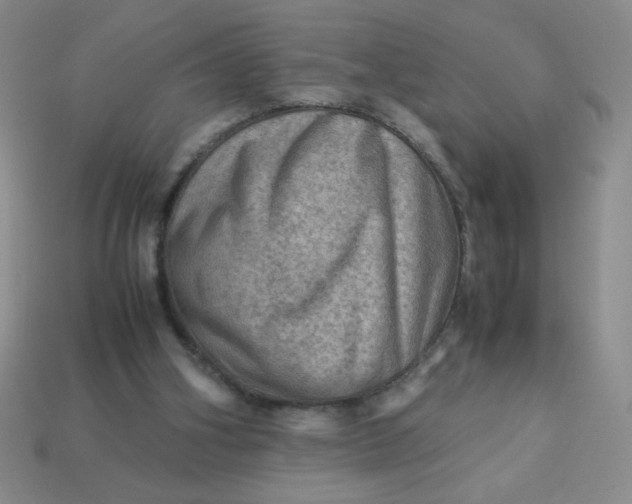 X0000113590106200910091508