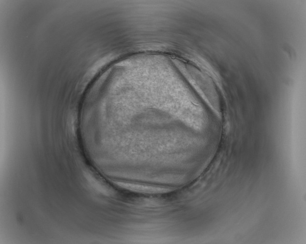 X0000113590107200910091508