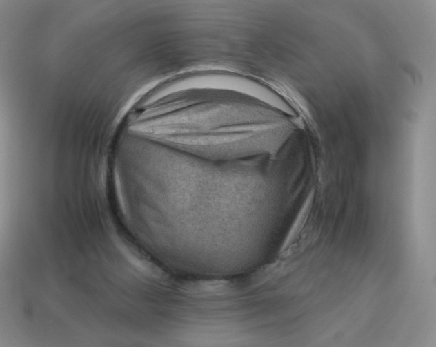 X0000113590108200910091508