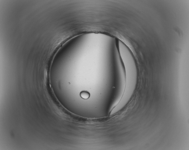 X0000113590109200910091508