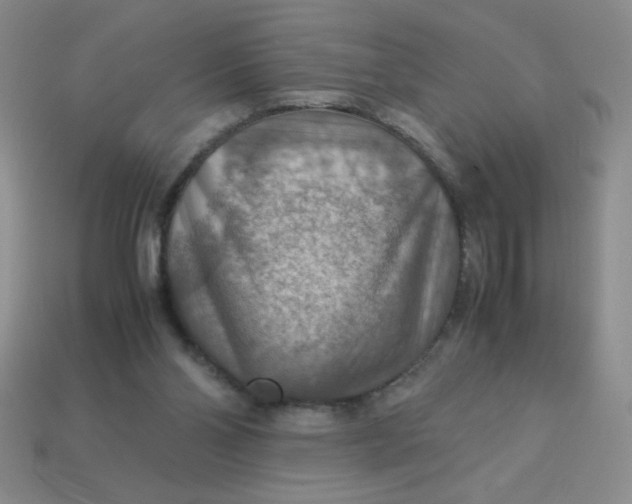 X0000113590110200910091508