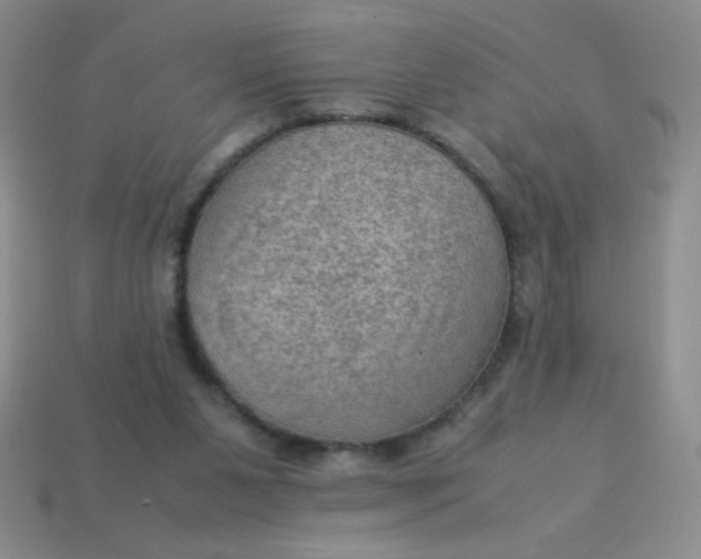 X0000113590111200910091508