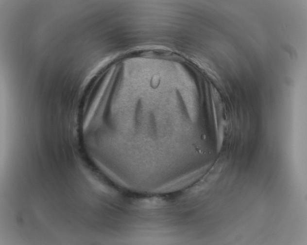 X0000113590112200910091508