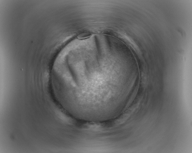 X0000113590113200910091507