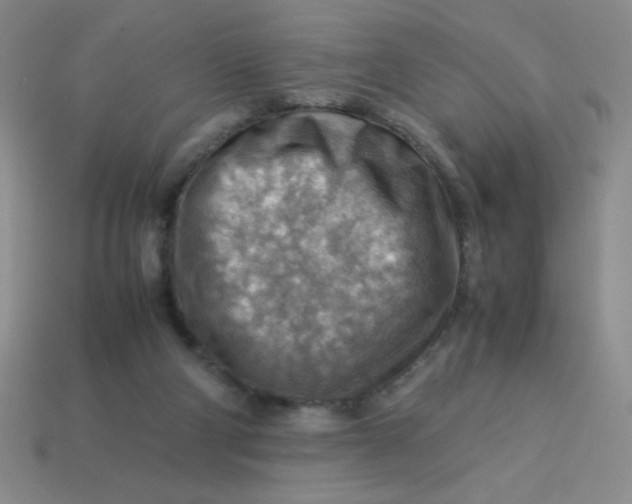 X0000113590114200910091507