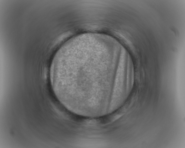 X0000113590115200910091507