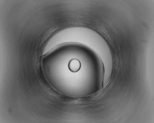 X0000113590116200910091507