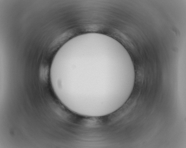 X0000113590118200910091507