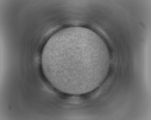 X0000113590119200910091507