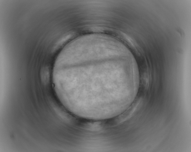 X0000113590120200910091507