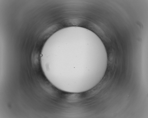 X0000113590122200910091507