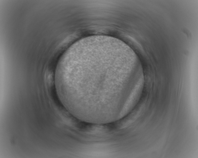 X0000113590123200910091507