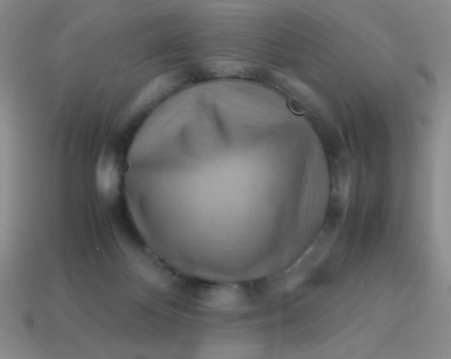 X0000113590124200910091507