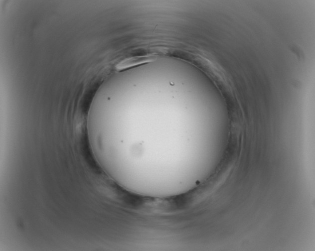 X0000113590125200910091507