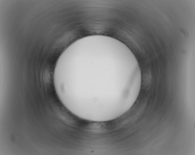 X0000113590126200910091507