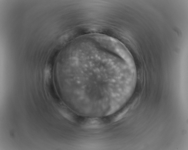 X0000113590127200910091507