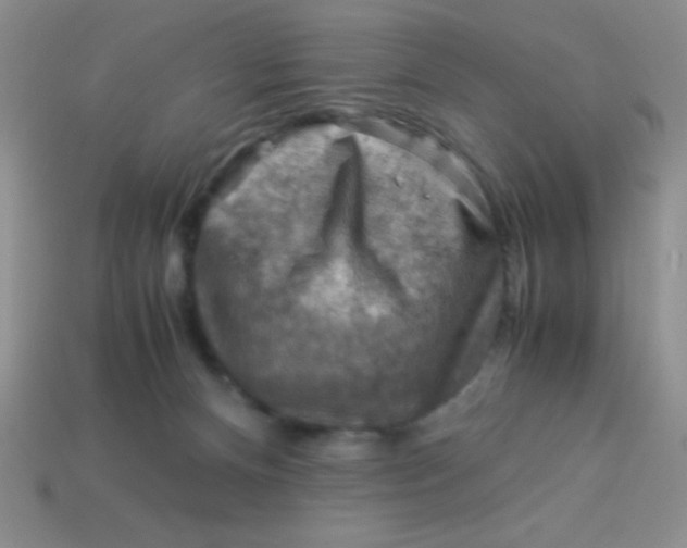 X0000113590128200910091507