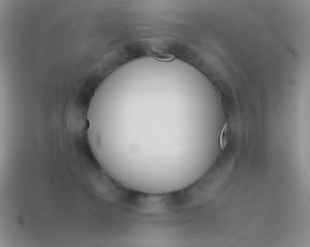 X0000113590129200910091507