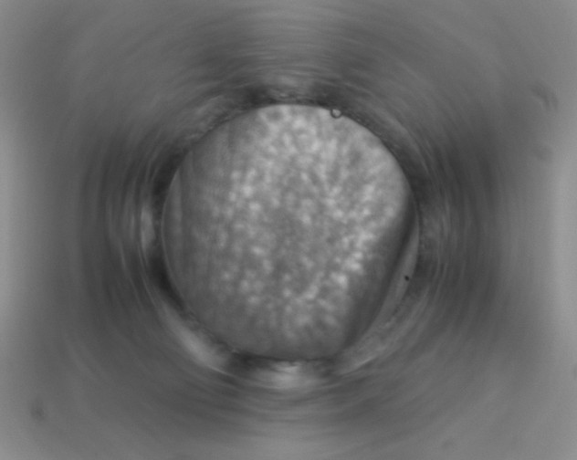 X0000113590130200910091507