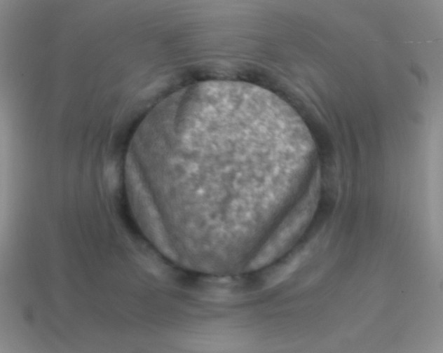 X0000113590131200910091507