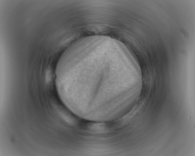 X0000113590132200910091507