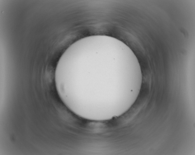 X0000113590133200910091507