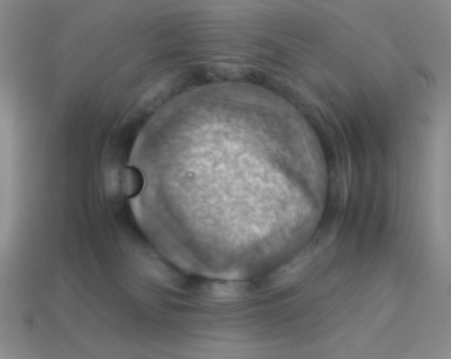 X0000113590134200910091507