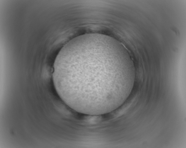 X0000113590135200910091507